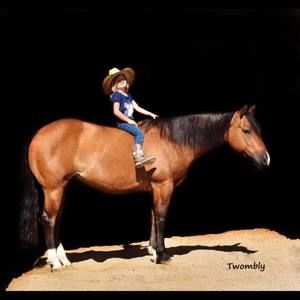 Meet your Posher, Alies